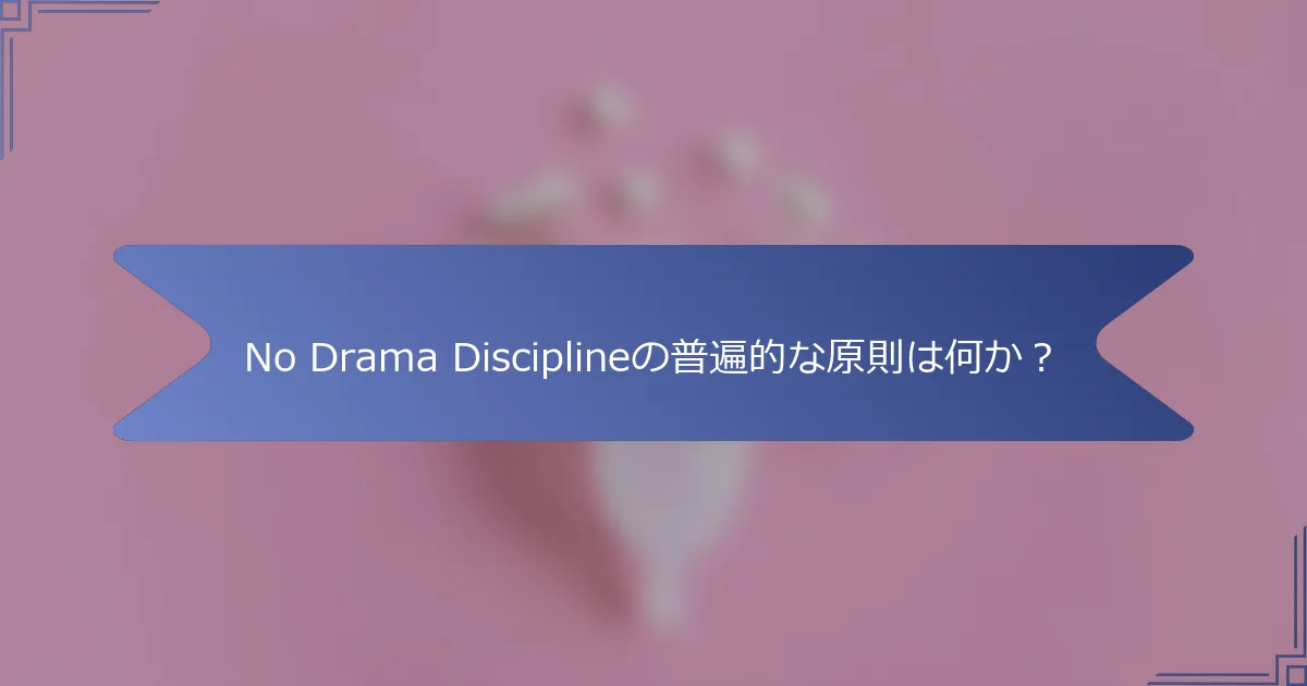 No Drama Disciplineの普遍的な原則は何か？
