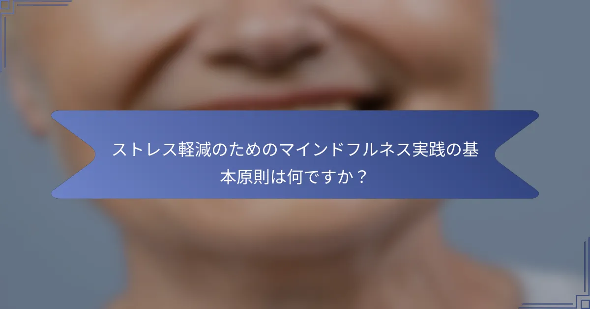 ストレス軽減のためのマインドフルネス実践の基本原則は何ですか?